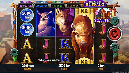Wild Buffalo